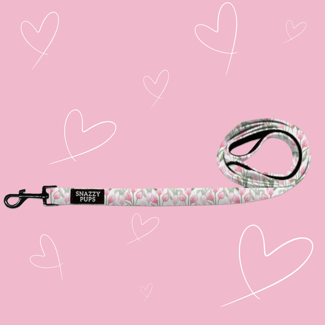 Hello Spring Dog Lead
