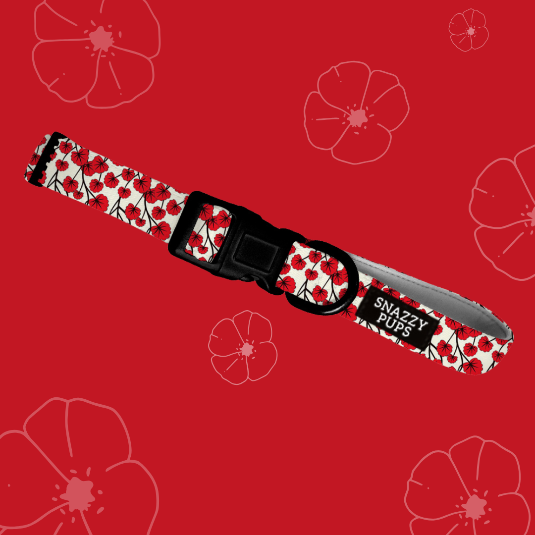 Perfect Poppy Adjustable Dog Collar