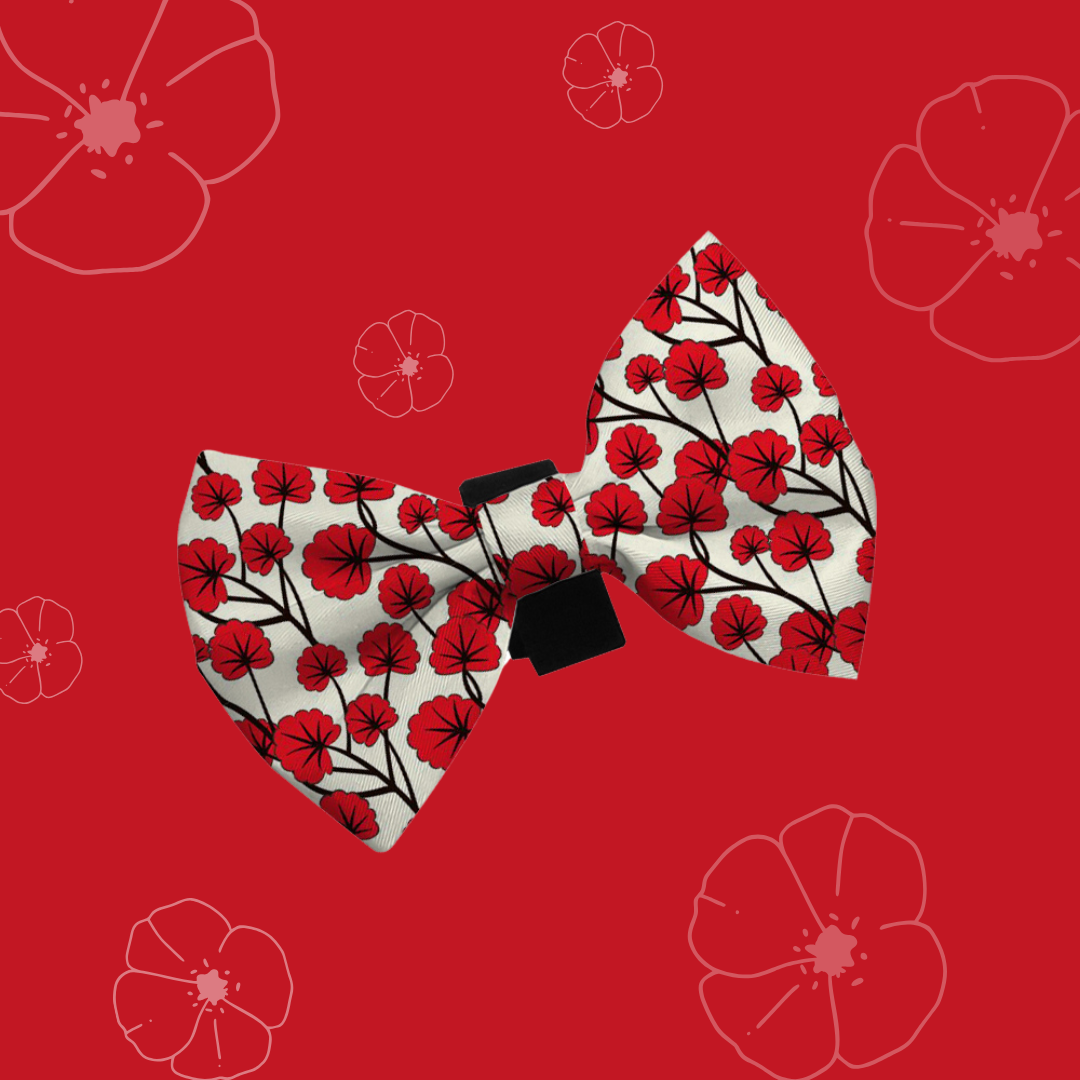 Perfect Poppy Bow