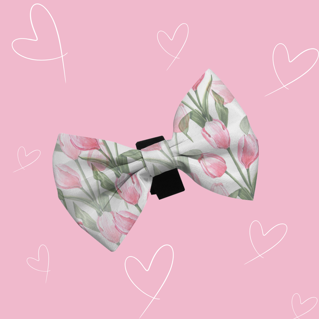 Hello Spring Bow