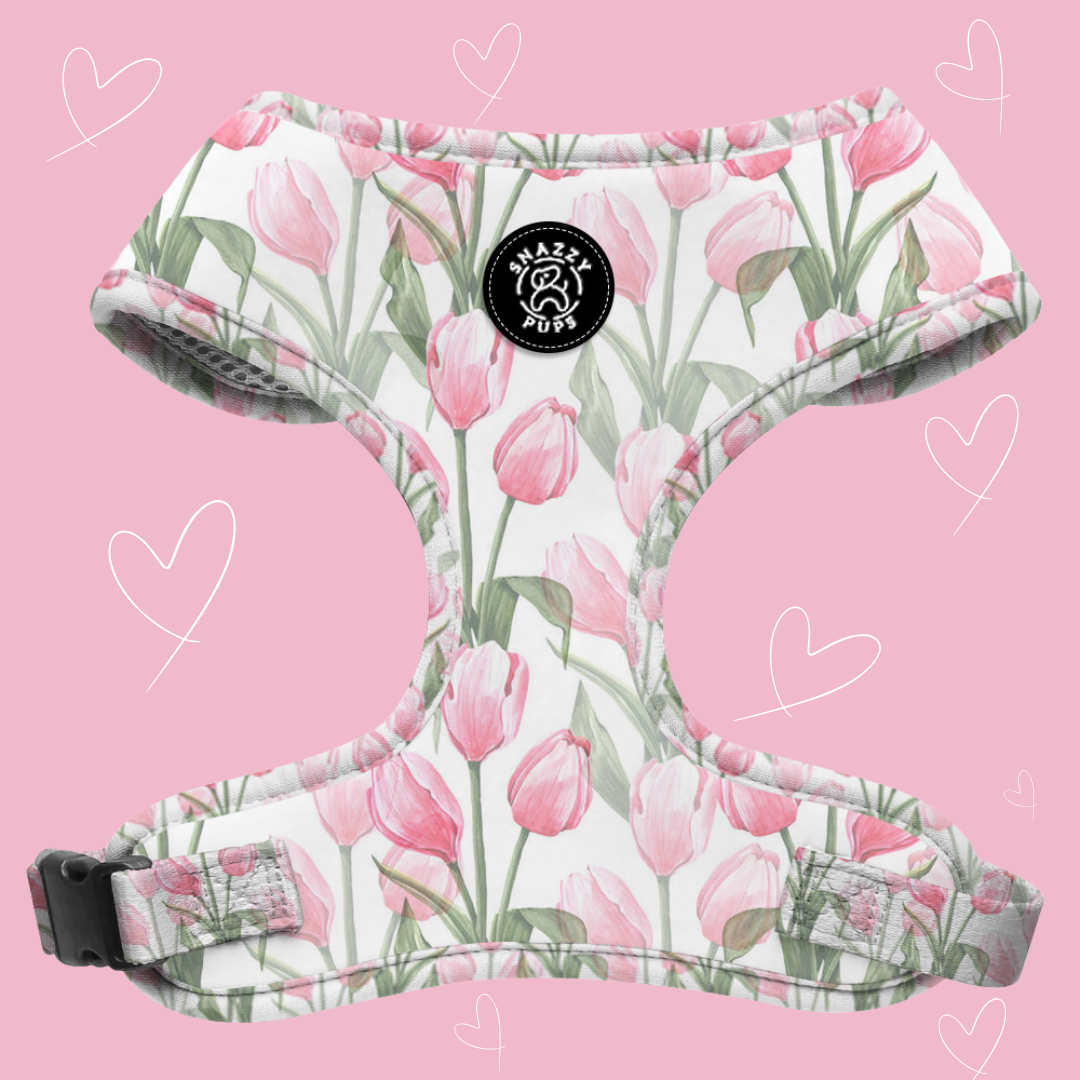 Springhare Harnesses Hello Spring Adjustable Dog Harness – Snazzy Pups