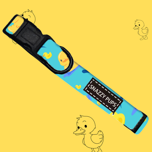Quackers Blue Adjustable Dog Collar