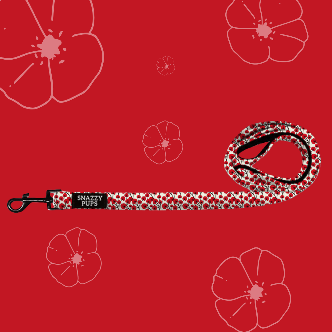 Perfect Poppy Dog Lead
