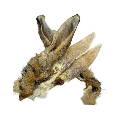 Hairy Rabbit Ears