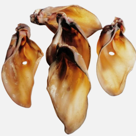 Giant Cow Ears