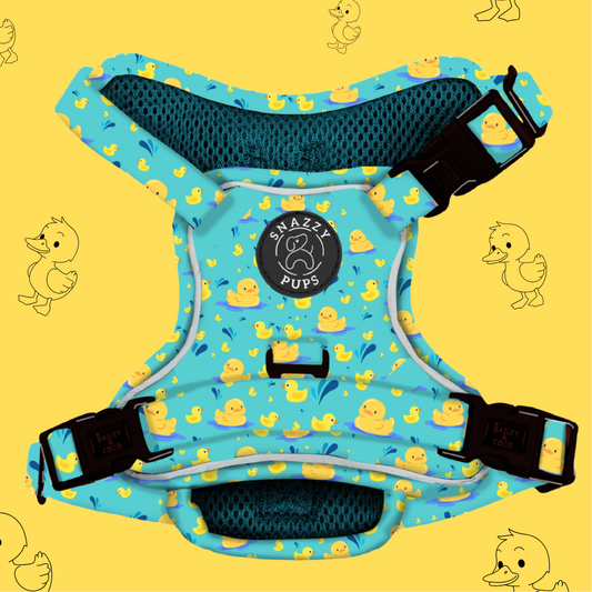 Quackers Blue TUFFPAWS Harness