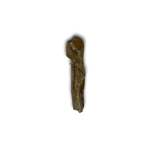 Mini Bully Muscle Stick